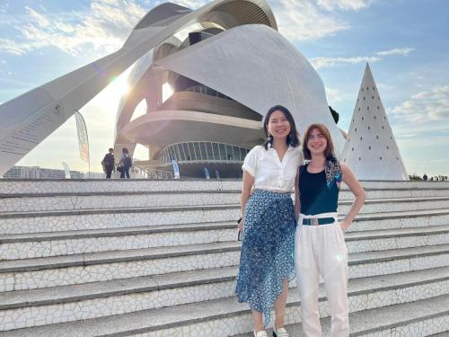 ICOM-CC Conference Valencia 2023